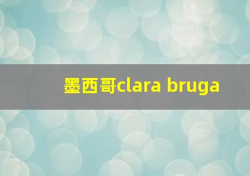 墨西哥clara bruga